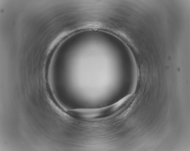 X0000077331422200610201217