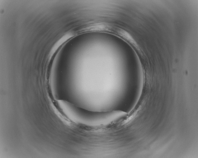 X0000077331426200610201217