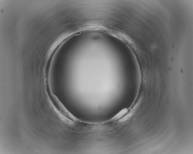 X0000077331430200610201217