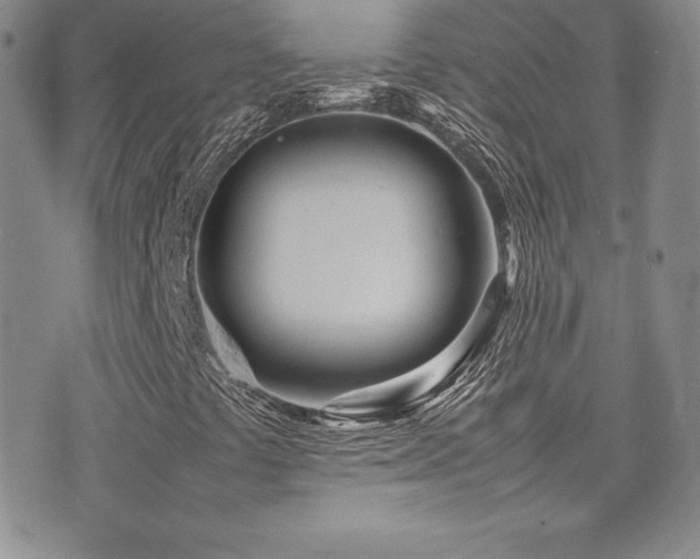 X0000077331441200610201216