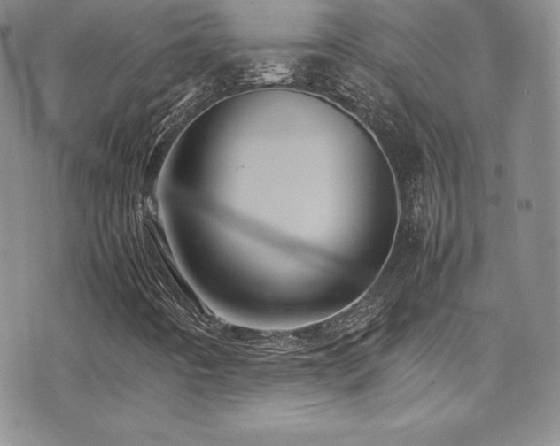 X0000077331442200610201216