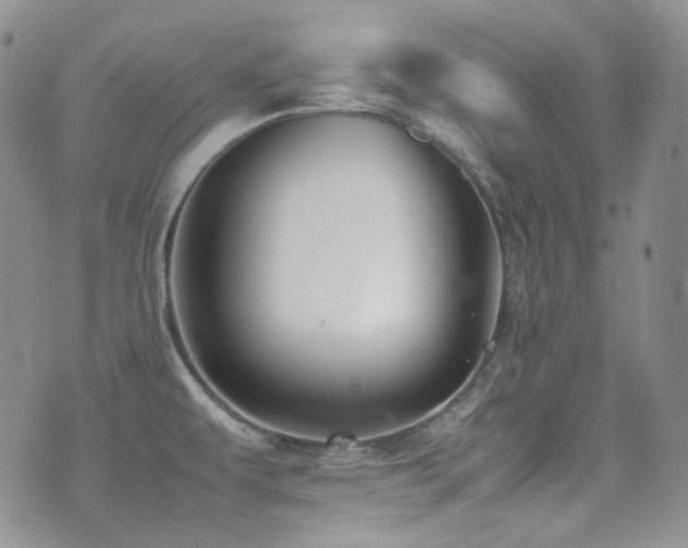 X0000077331479200610201215