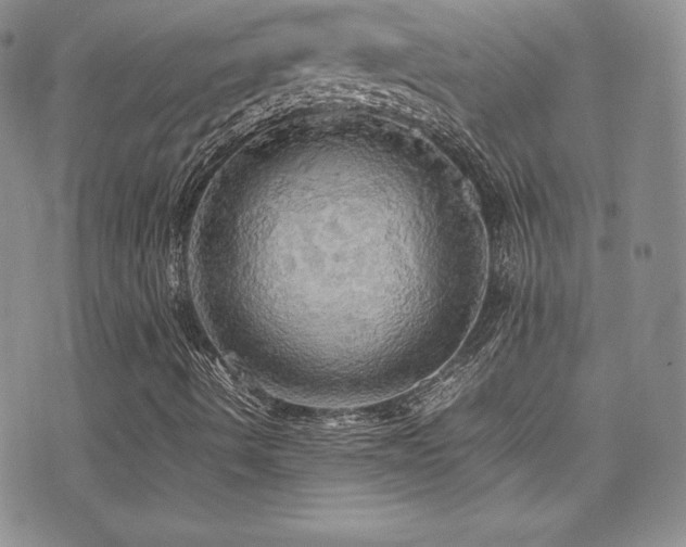 X0000077331490200610201215