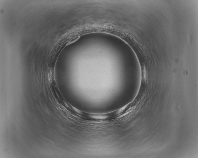 X0000077331492200610201215