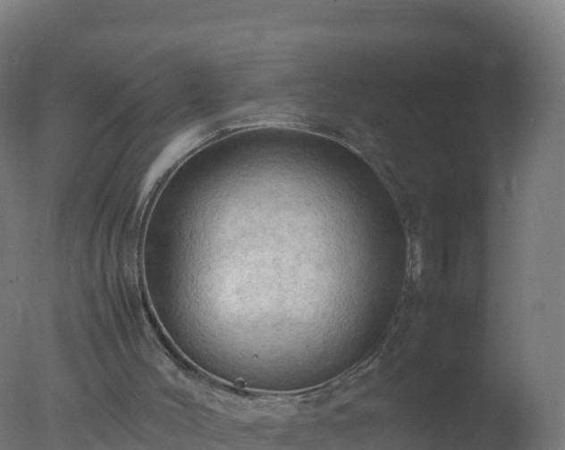 X0000077330004200610271748