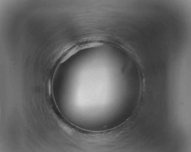 X0000077330013200610271748