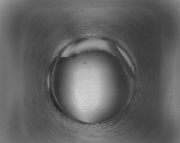 X0000077330019200610271748