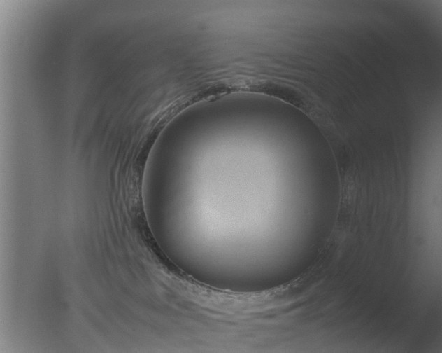 X0000077330043200610271748