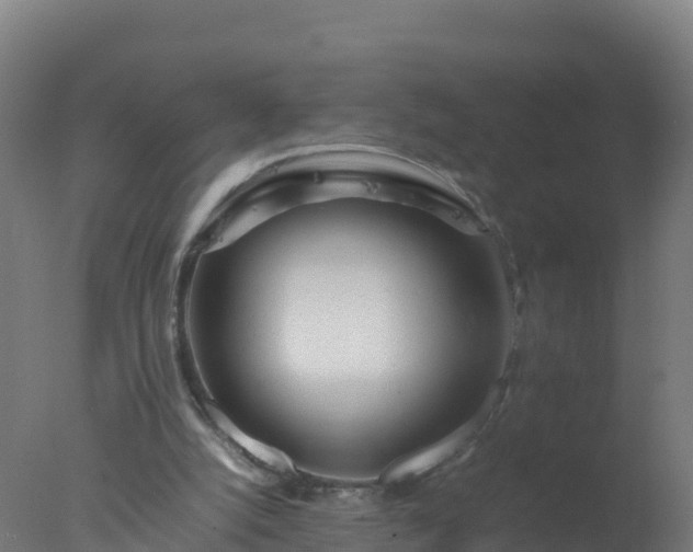 X0000077330056200610271747