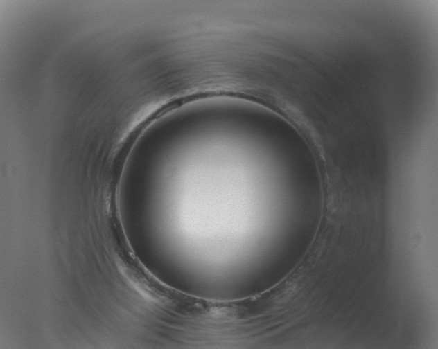 X0000077330060200610271747