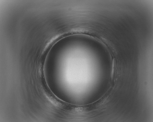X0000077330064200610271747