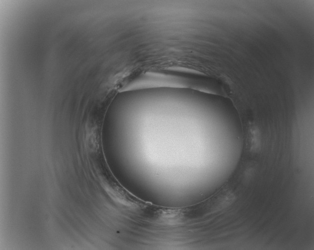 X0000077330088200610271747