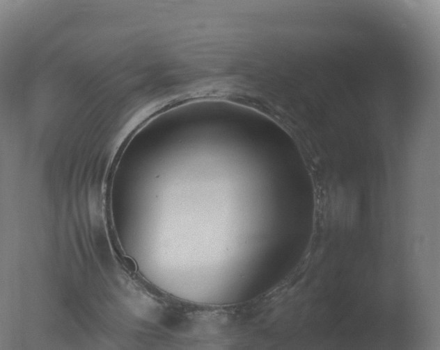 X0000077330100200610271747