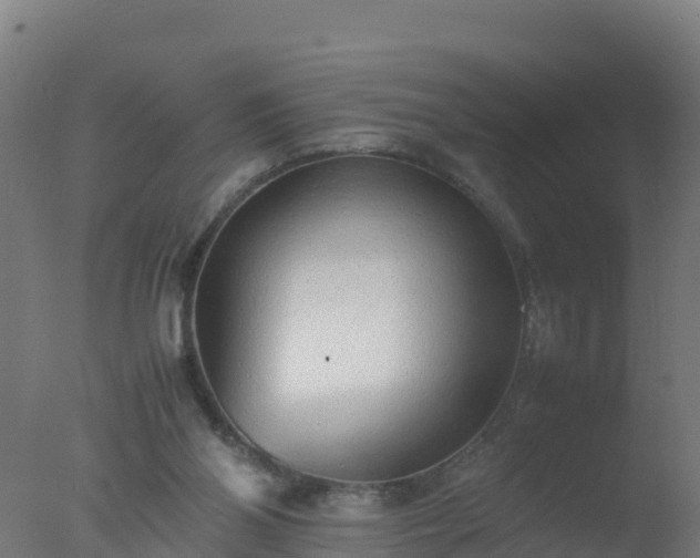 X0000077330110200610271746