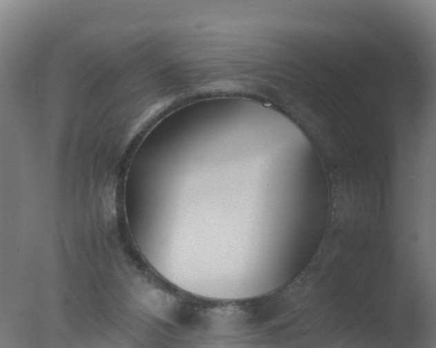 X0000077330112200610271746