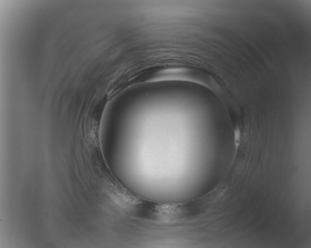 X0000077330141200610271746