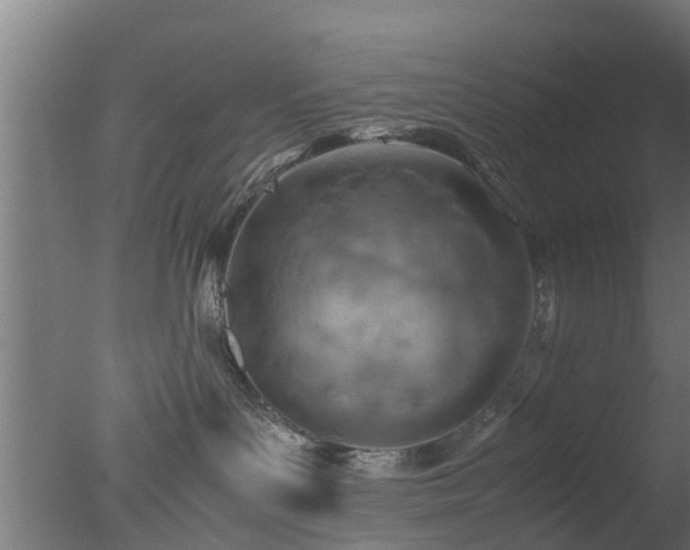X0000077330143200610271746