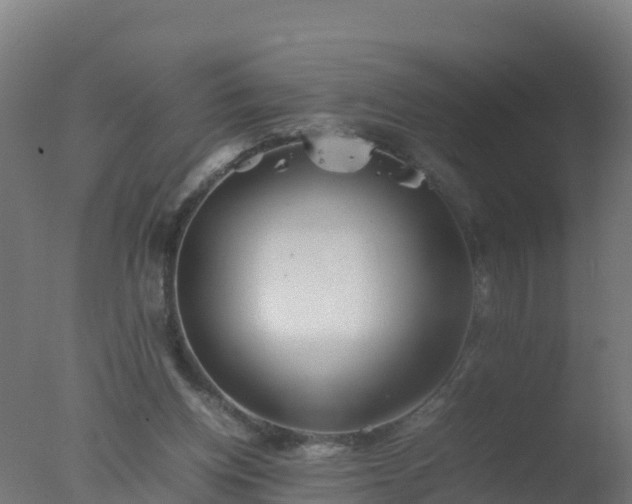 X0000077330158200610271745