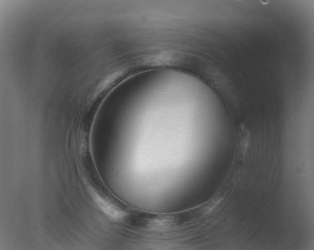 X0000077330164200610271745