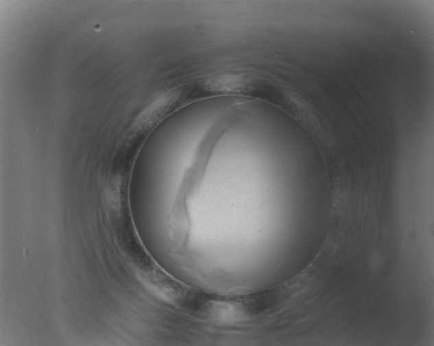 X0000077330167200610271745
