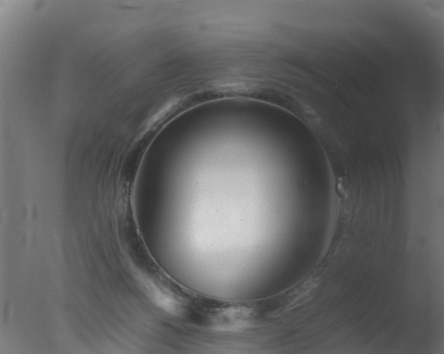 X0000077330168200610271745