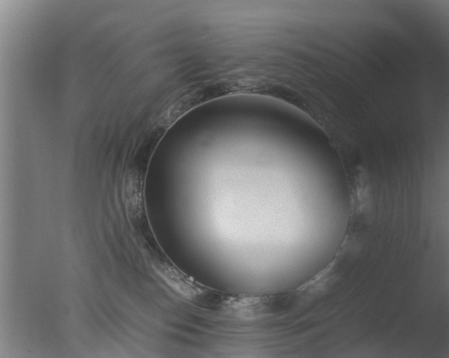 X0000077330186200610271746