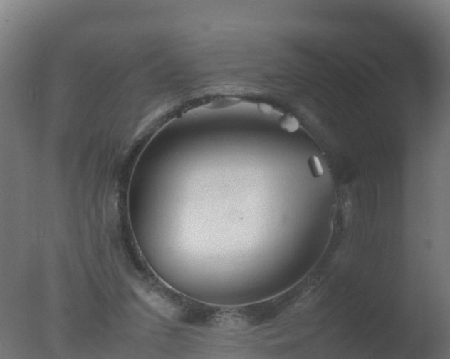 X0000077330207200610271745