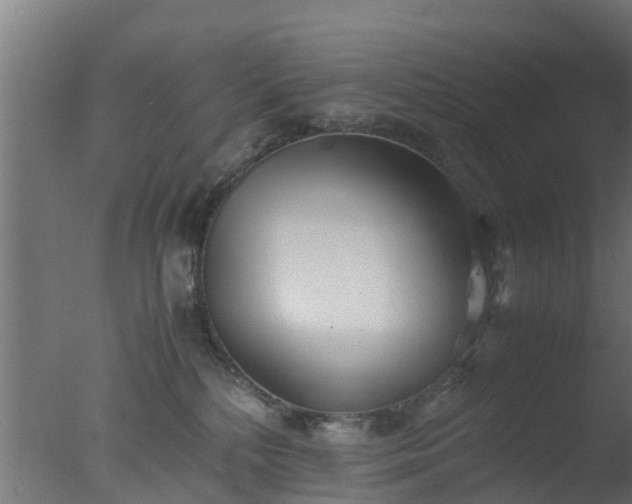 X0000077330232200610271744