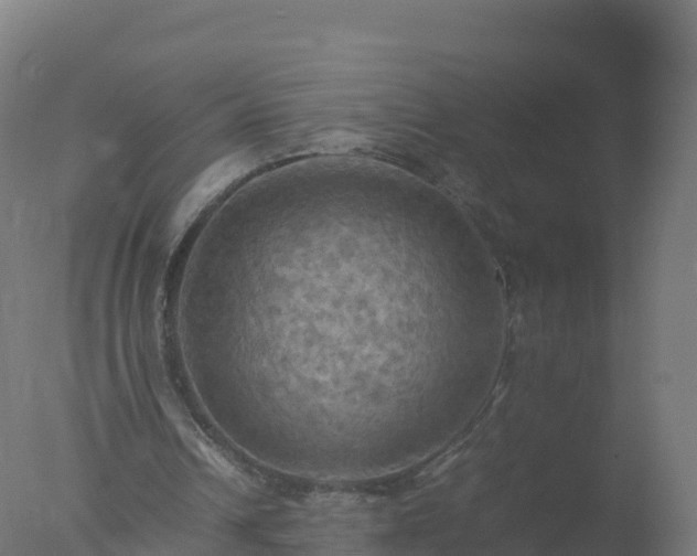 X0000077330242200610271743