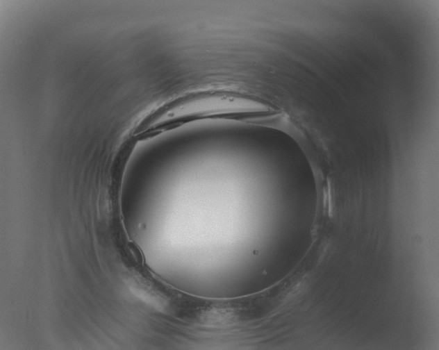 X0000077330252200610271744