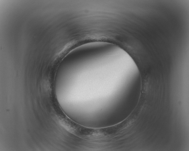 X0000077330256200610271744