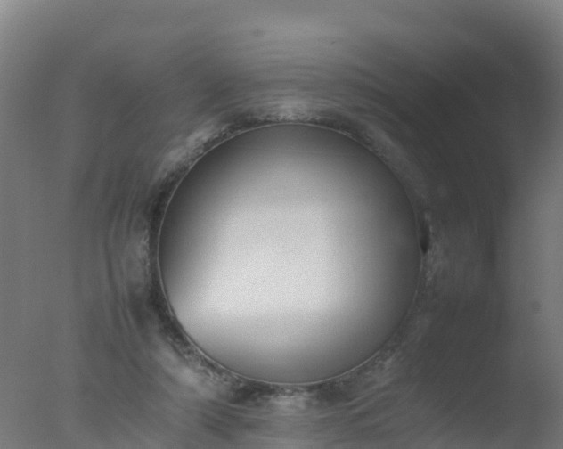 X0000077330306200610271743