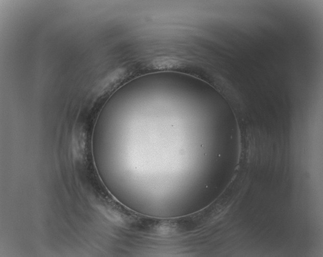 X0000077330308200610271743