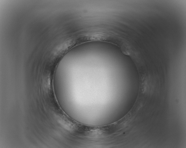 X0000077330310200610271743
