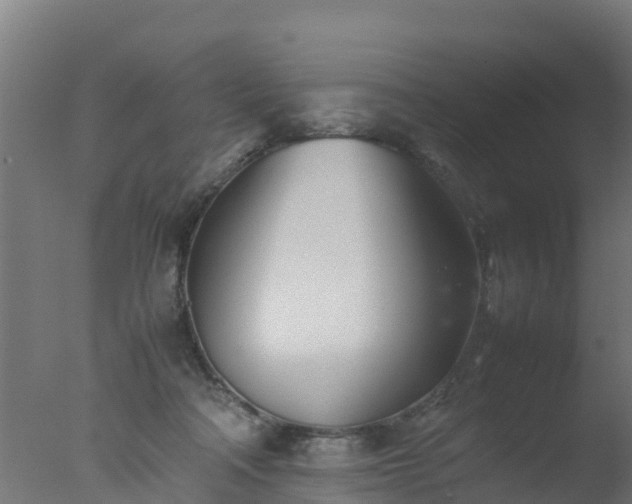 X0000077330314200610271743
