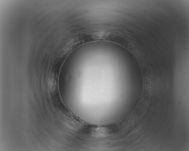 X0000077330324200610271743