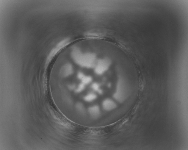 X0000077330343200610271742
