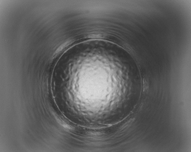 X0000077330349200610271742
