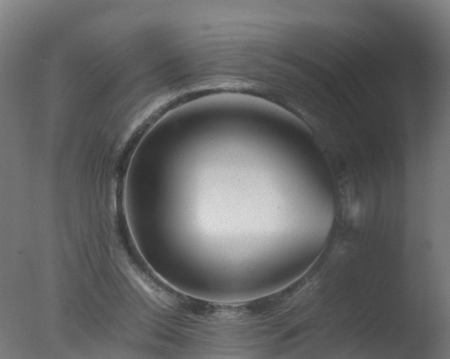 X0000077330350200610271742