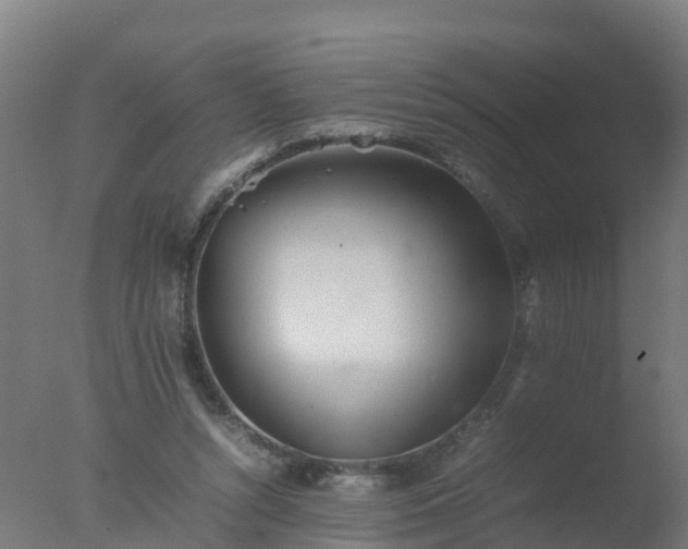 X0000077330352200610271742