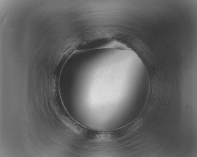 X0000077330362200610271742