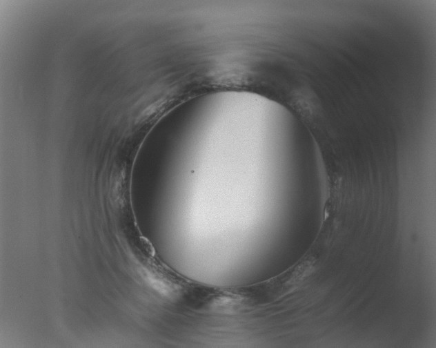 X0000077330364200610271742
