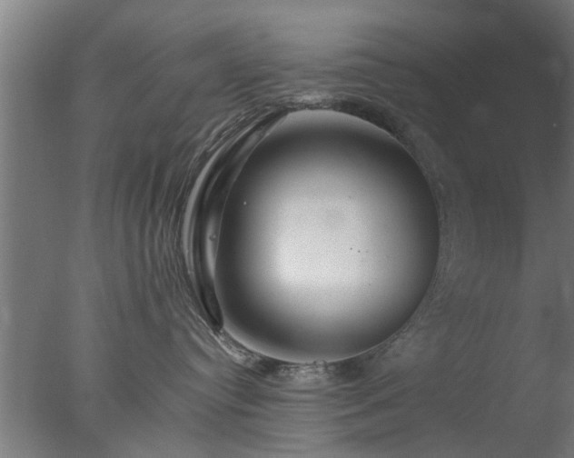 X0000077330384200610271743