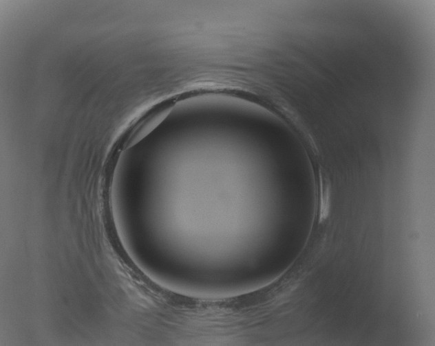 X0000077330387200610271742