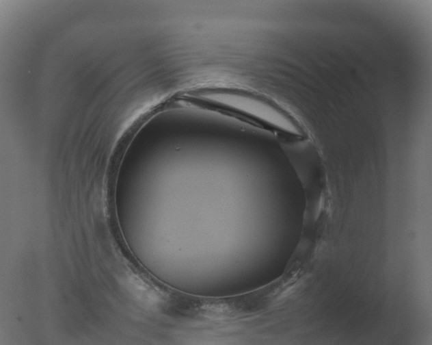 X0000077330391200610271742