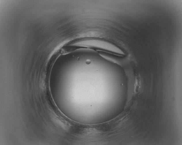 X0000077330392200610271742