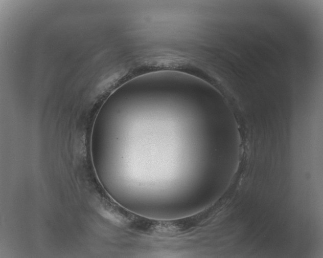 X0000077330403200610271741