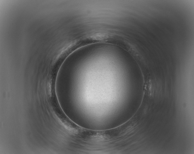 X0000077330404200610271741