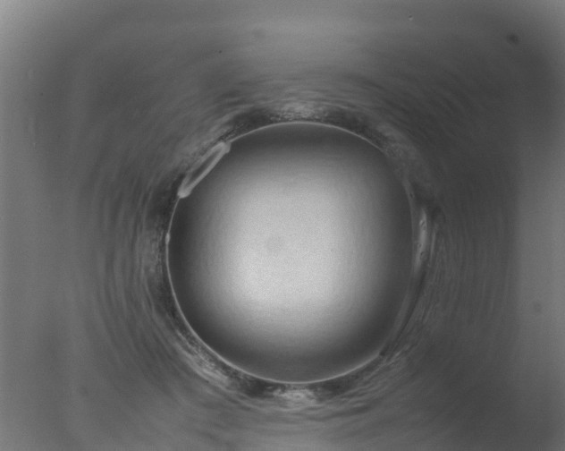X0000077330409200610271741