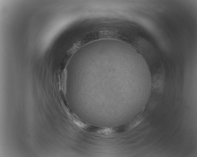 X0000077330431200610271741